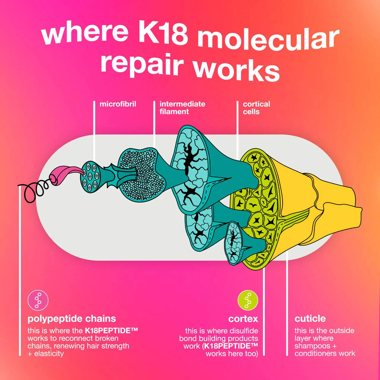 K18 Biomimetic Hairscience